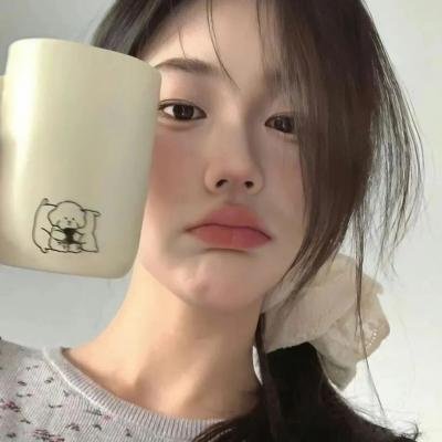 网红养成记国语
